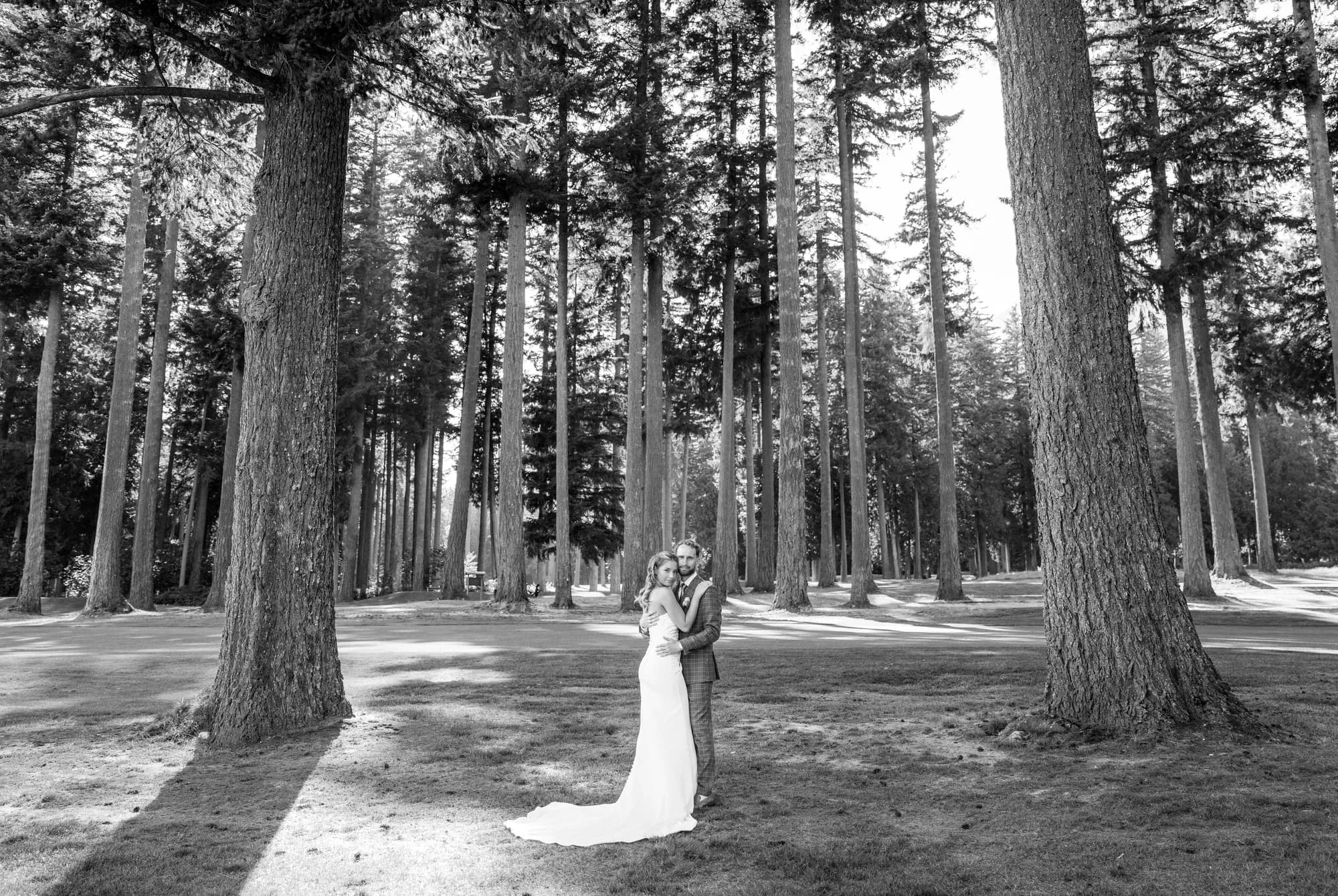 A bride in a long dress standing among tall evergreen trees, photographed in black and white
